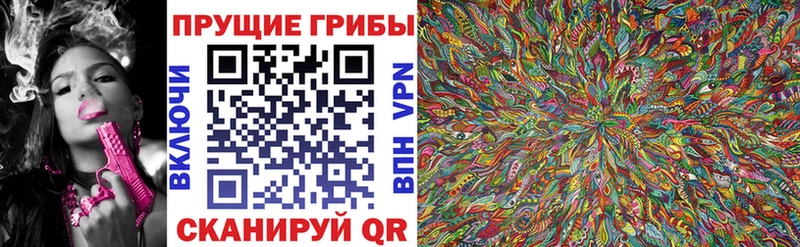 Галлюциногенные грибы мицелий  Кологрив 